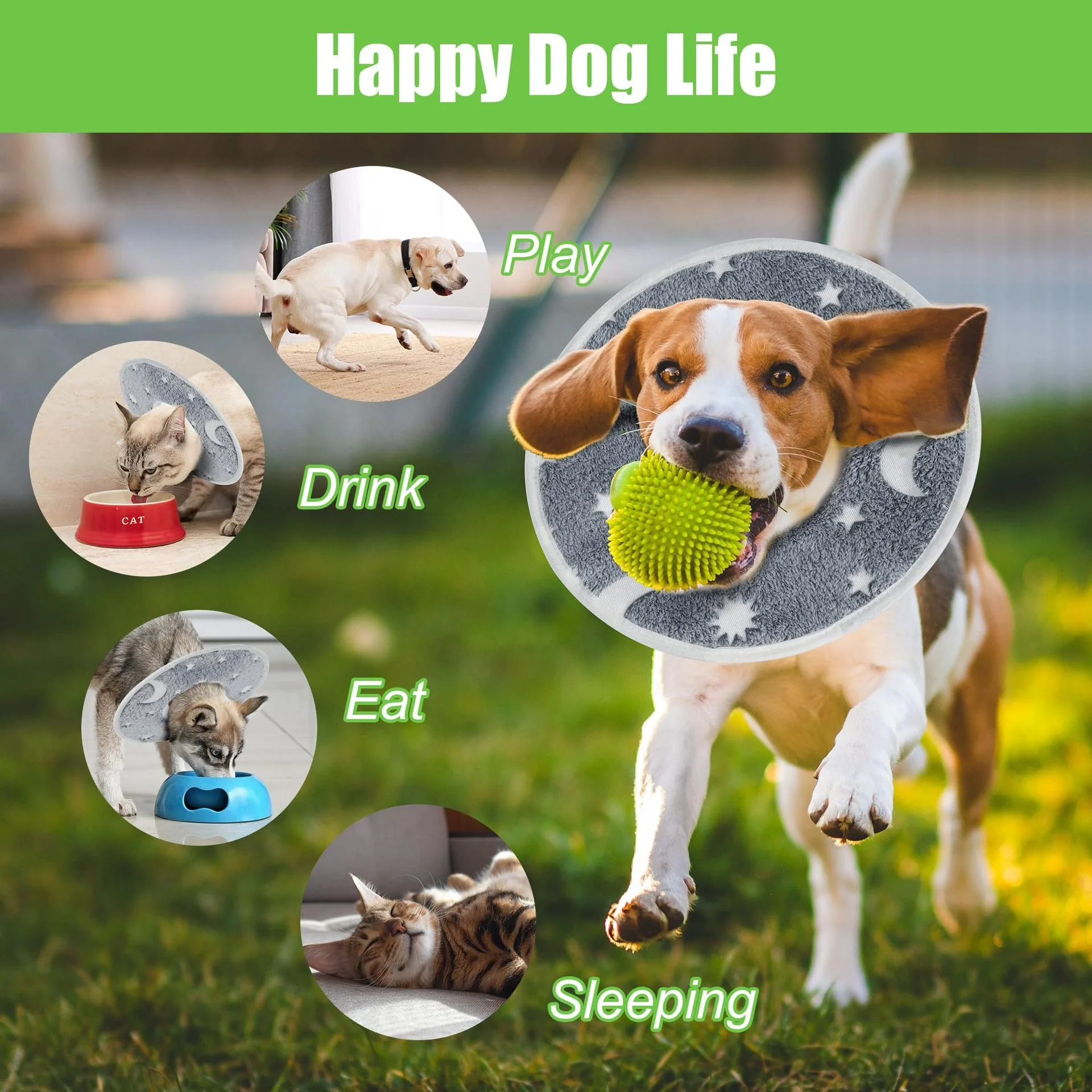 Customizable Glow in Dark Soft Cat Cone Recovery Collar After Surgery to Prevent Licking Wound Pet Elizabethan Collar for Cats