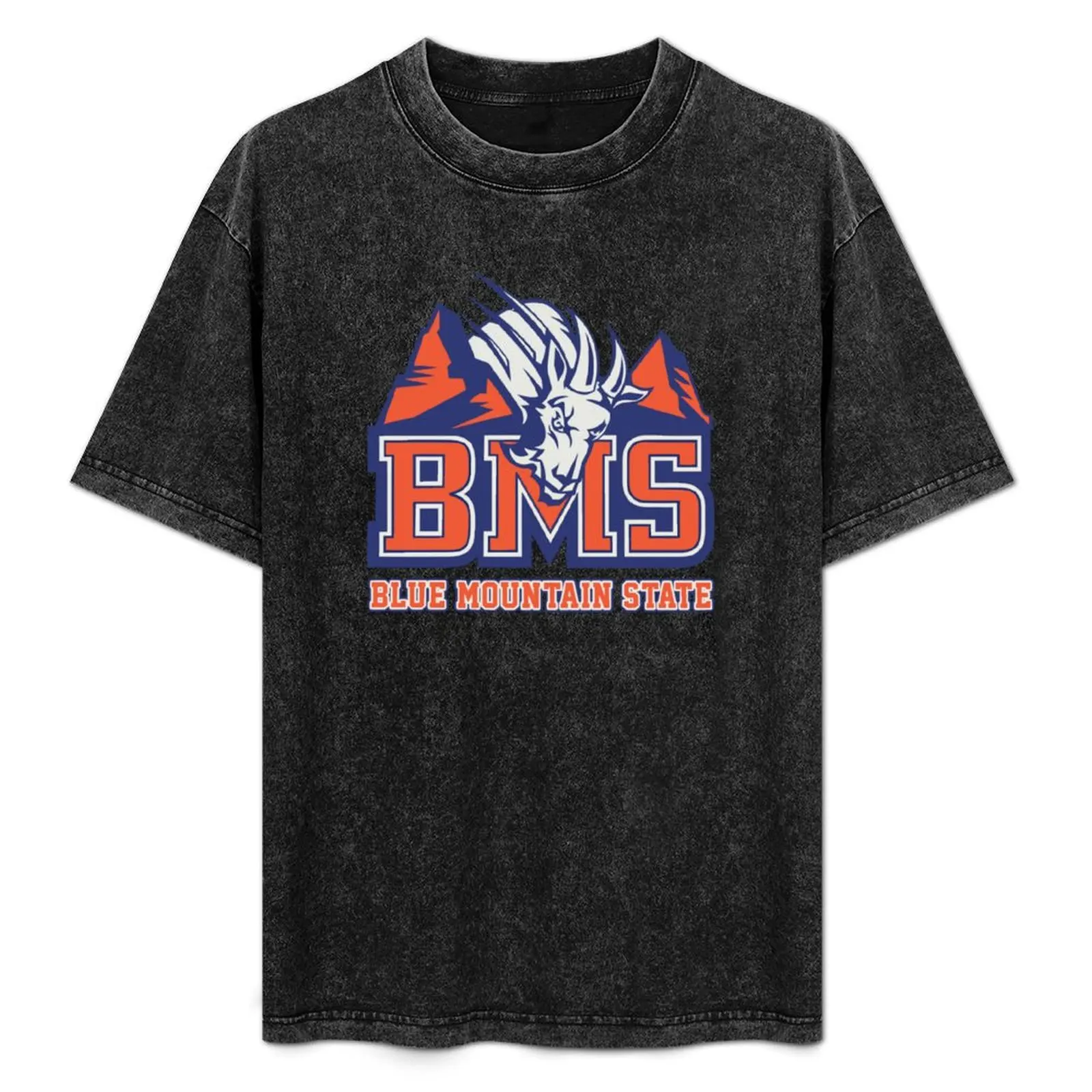 

BMS - Blue Mountain State T-Shirt man t shirts cotton t shirt man plain T-Shirt