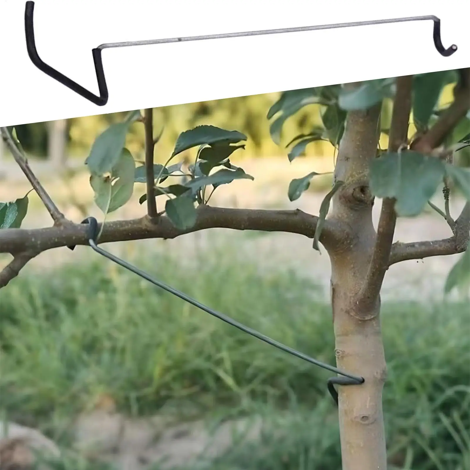 Fruit tree branch expander With Protective Sleeve 10Pcs/set tree opening angle pulling and branch bending tool