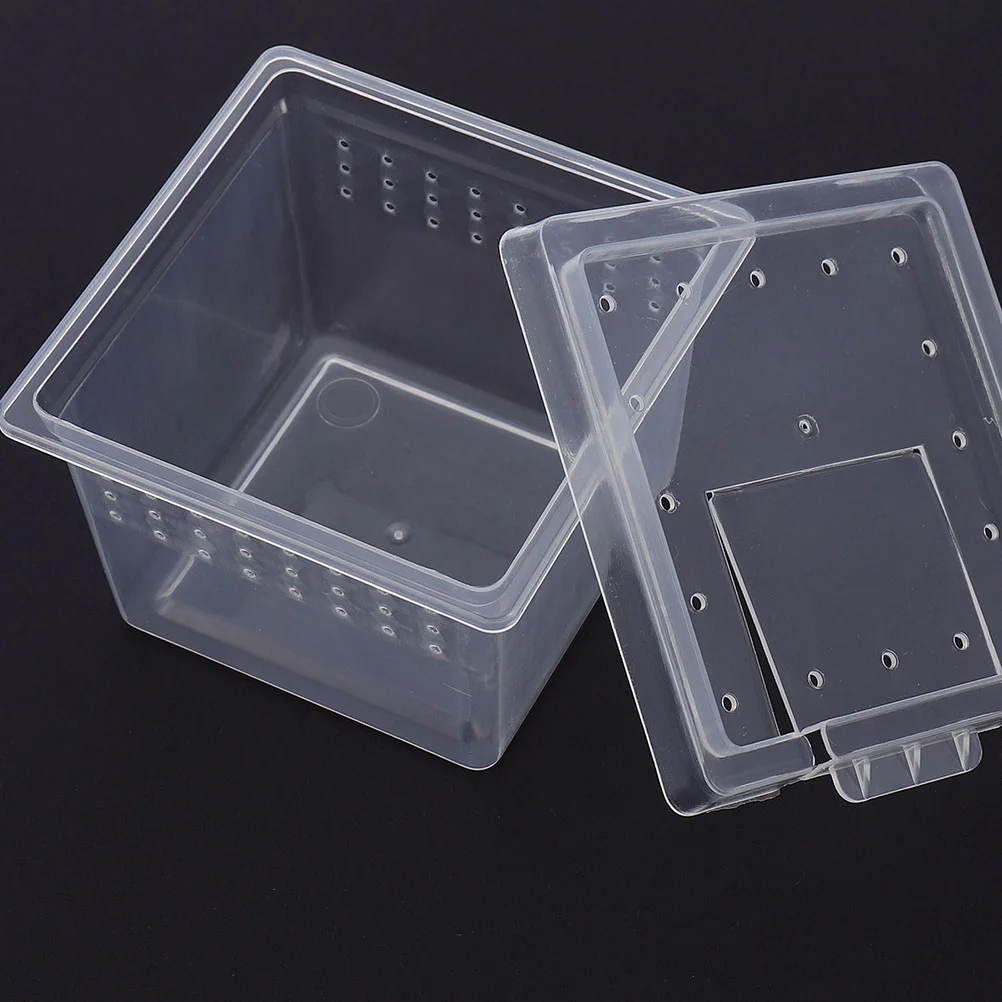 20 Pcs Pet Feeding Box Praying Mantis Habitat Gecko Tank Animal Container Scorpion Reptile Enclosure Pp Jumping Spider