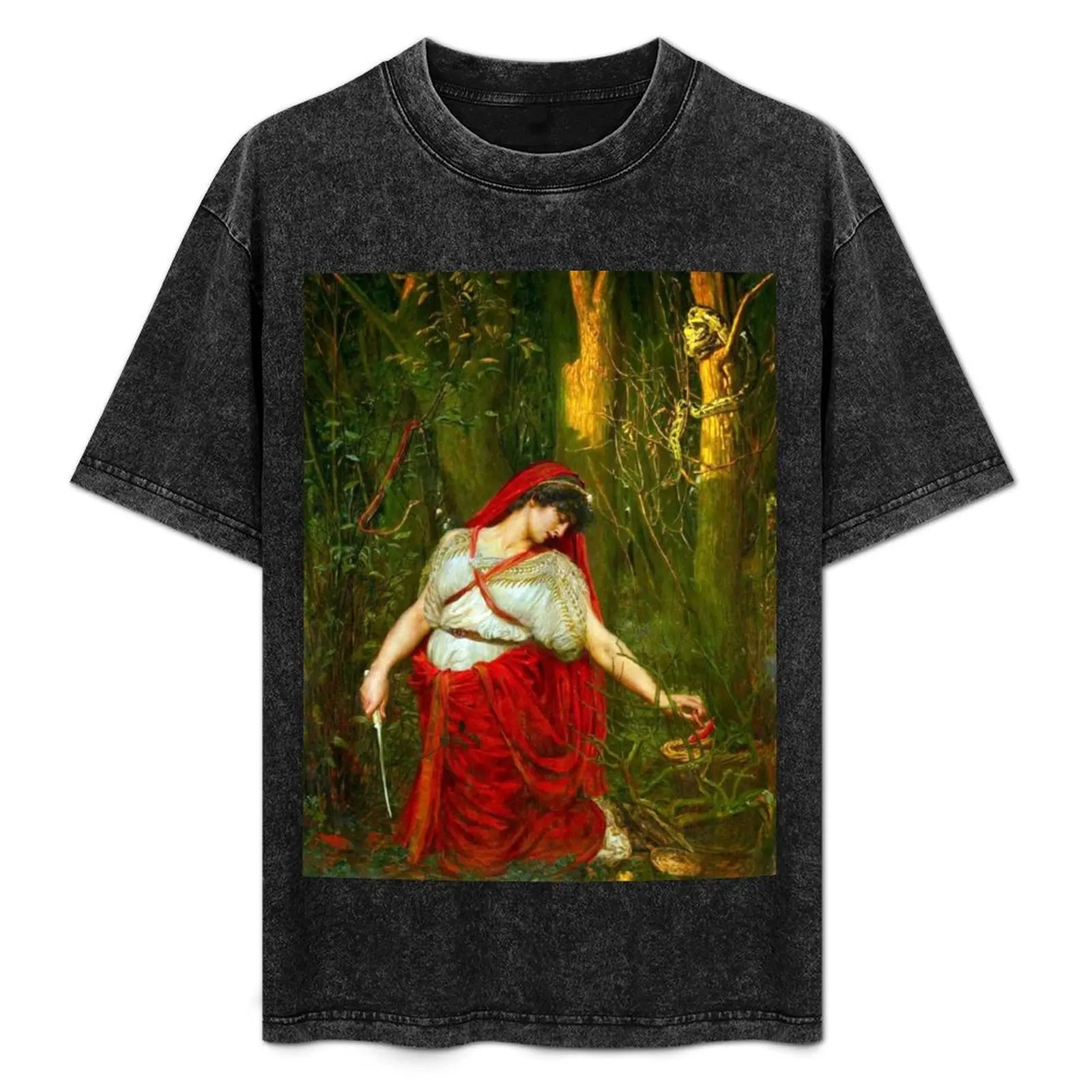 

Medea the Sorceress - Valentine Cameron Prinsep T-Shirt Plus Size Short Sleeve T-Shirt