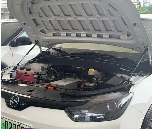 

1 Set Gas Struts for Weltmeister E5 2021-2022 Front Hood Bonnet Lift Support Damper Shock Absorber Prop Rods