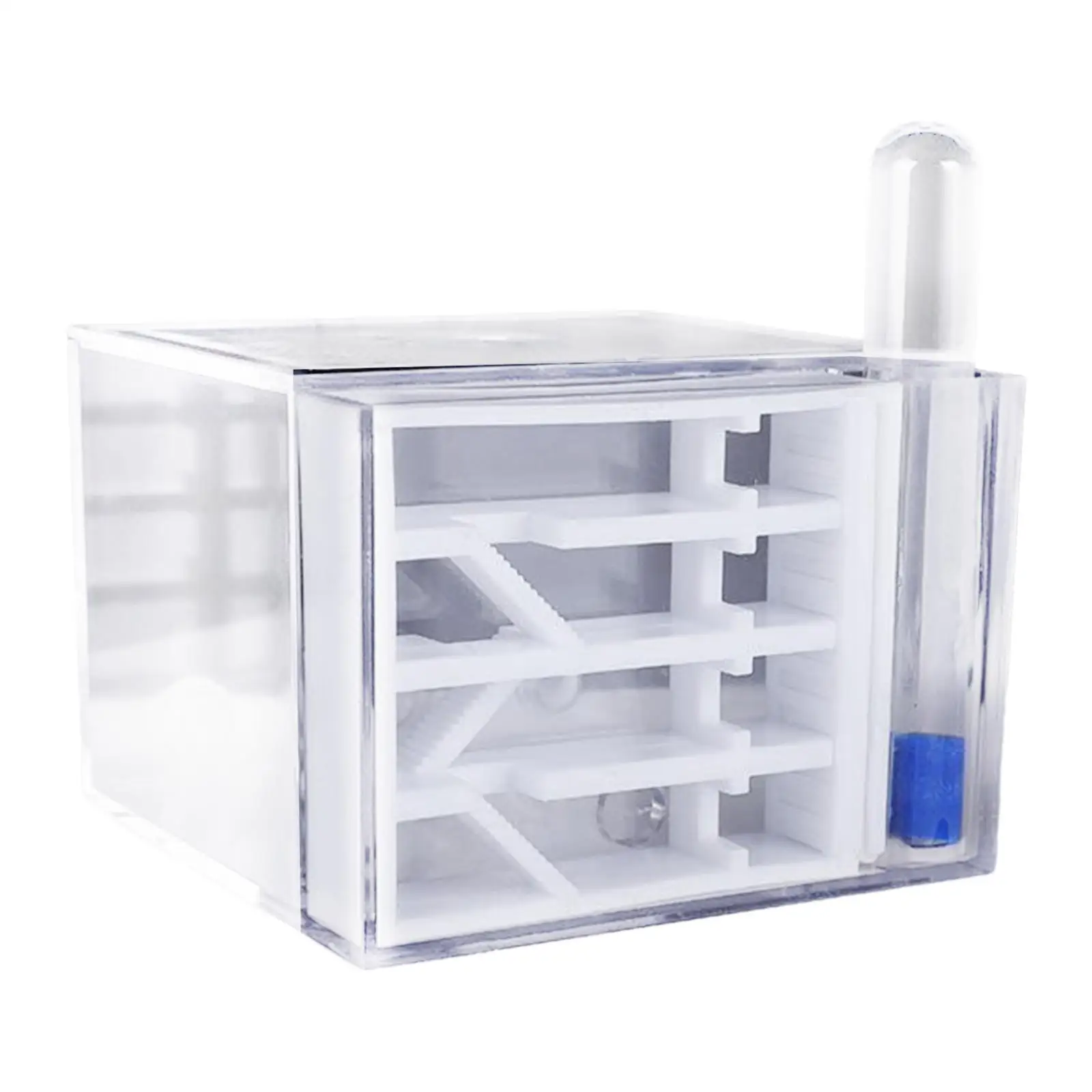 ANT Farm DIY Learning Easy to Assemble Funny Toys Transparent ANT Habitat for Science Observation Gift Home Decor Childrens Day