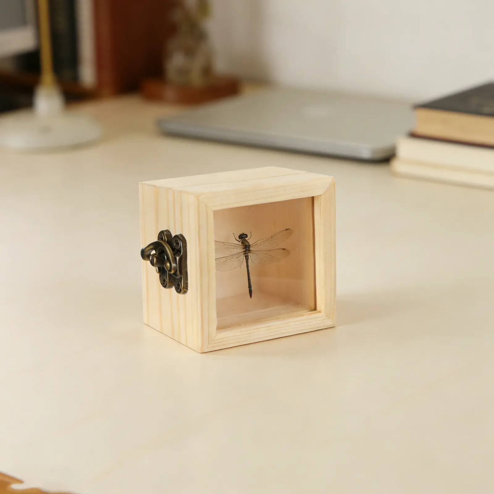 2Pcs Glass Natural Wood Specimen Box Decorative Wooden Jewelry Storage Box For Jewelry Maker Clear Lid 6x6x5cm