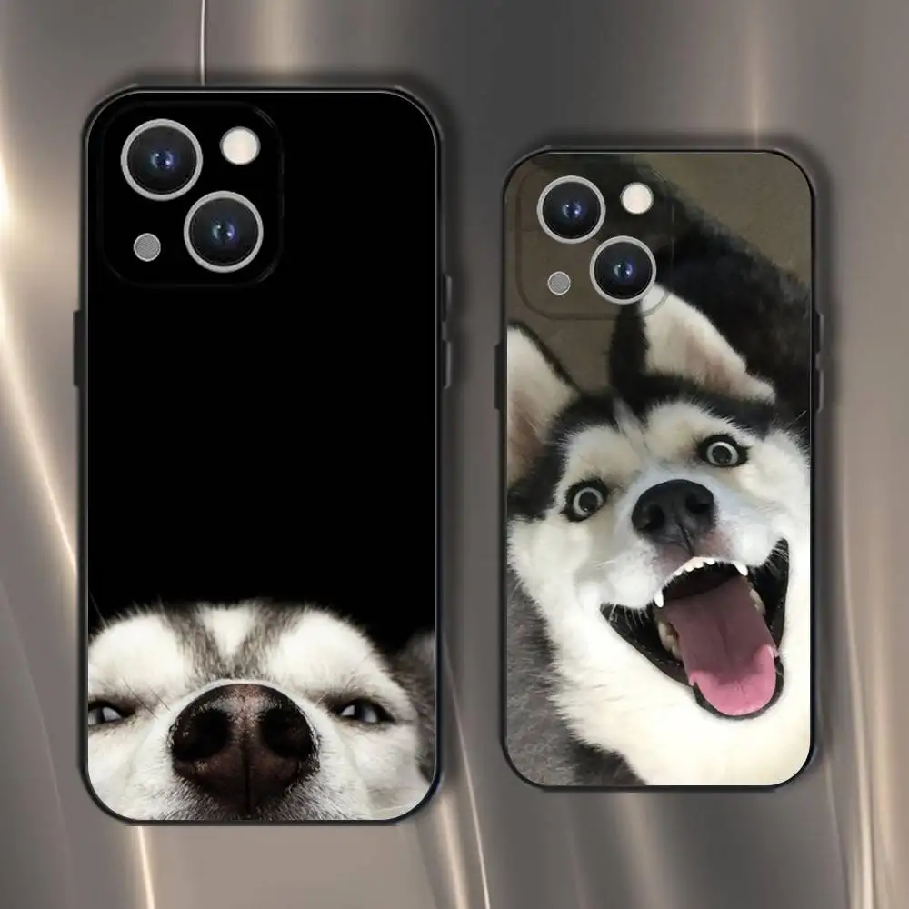 

Husky Puppy Dog Phone Case For iPhone 16,15,14,13,12,11,Pro,XS,Max,XR,Plus,E,SE4,Mini Black Soft Cover