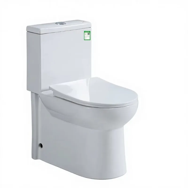 for Ceramic integrated wall-mounted toilet, left and right drainage, straight flushing, strong siphon effect, bidet