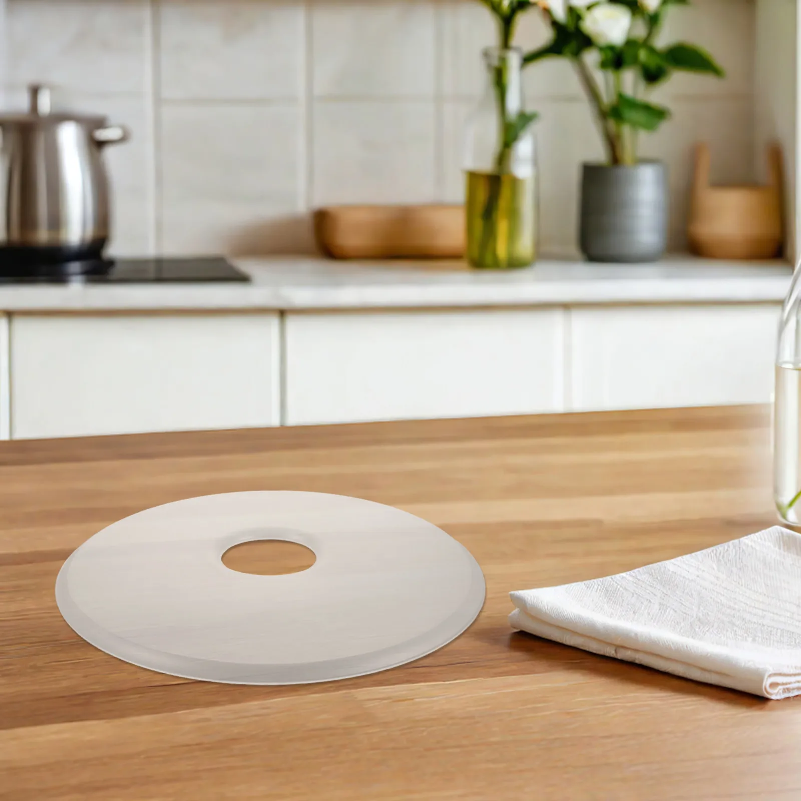 Food Dehydrator Tray Non-Stick Herb Drying Tray for Sticky Foods Fruit Meat Jerky Snack Preservation Accessory
