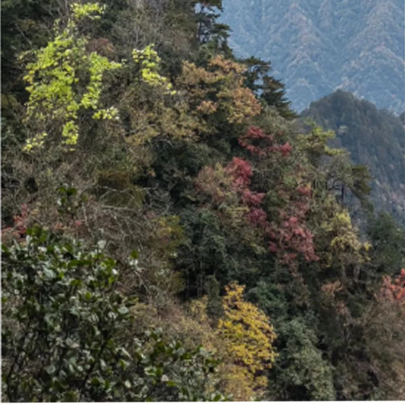 Serwo JX Servo PS-5521MG 20KG z wysokim momentem obrotowym, metalowe przekładnie, standardowe analogowe serwo do samochodów RC, robotów, samolotów, części zamienne do modeli RC