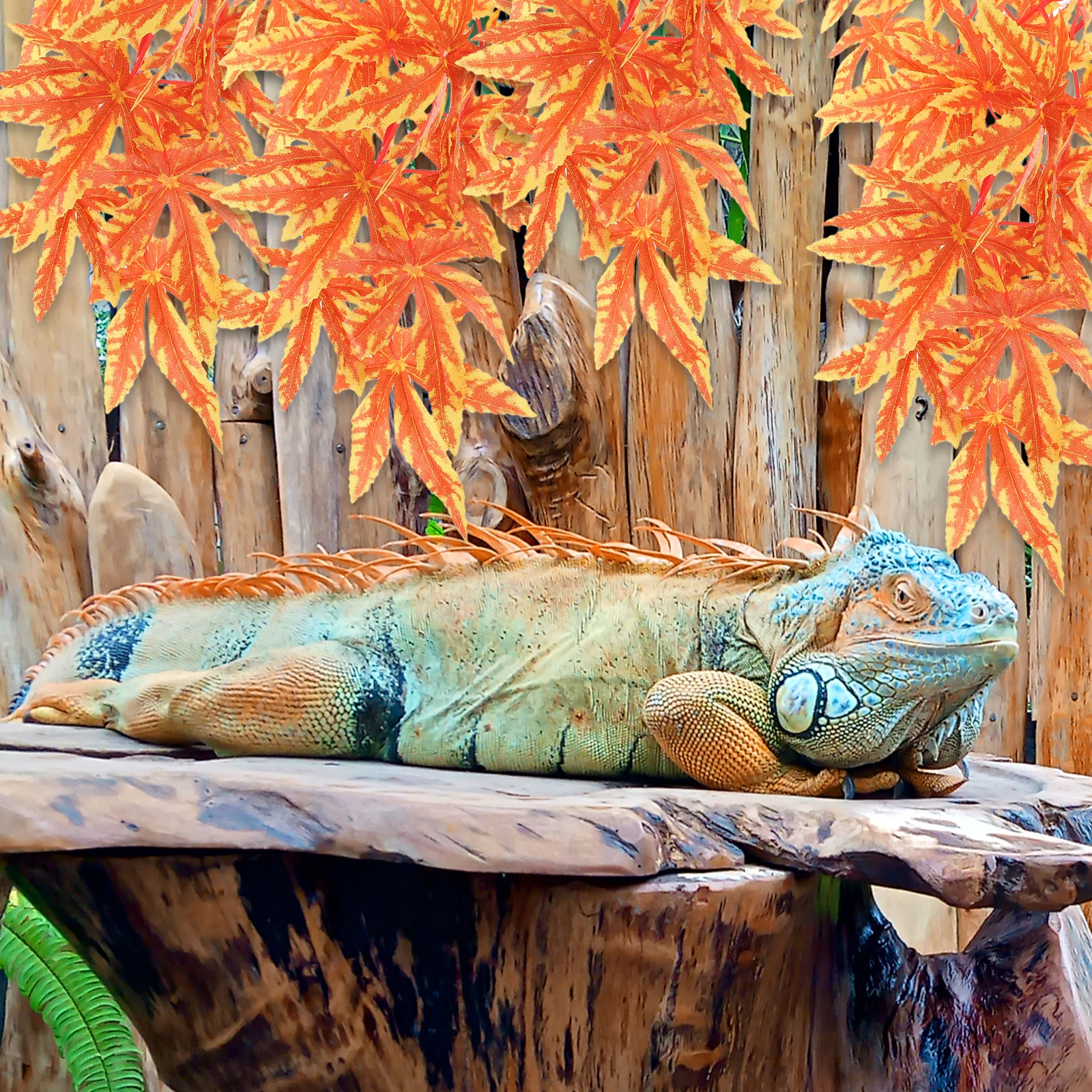 

Artificial Hanging Vine Decorative Plant Imitation Water Plant for Fish Tank Terrarium Reptile Habitat Decor Aquarium Ornament