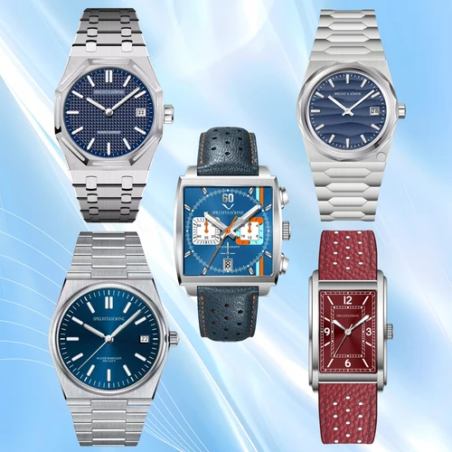 Imagen 1 del producto 2025 Nuevo especht & Sohne Polo y PRX y cuadrado 222 Enlace de homenaje para clientes de Europa