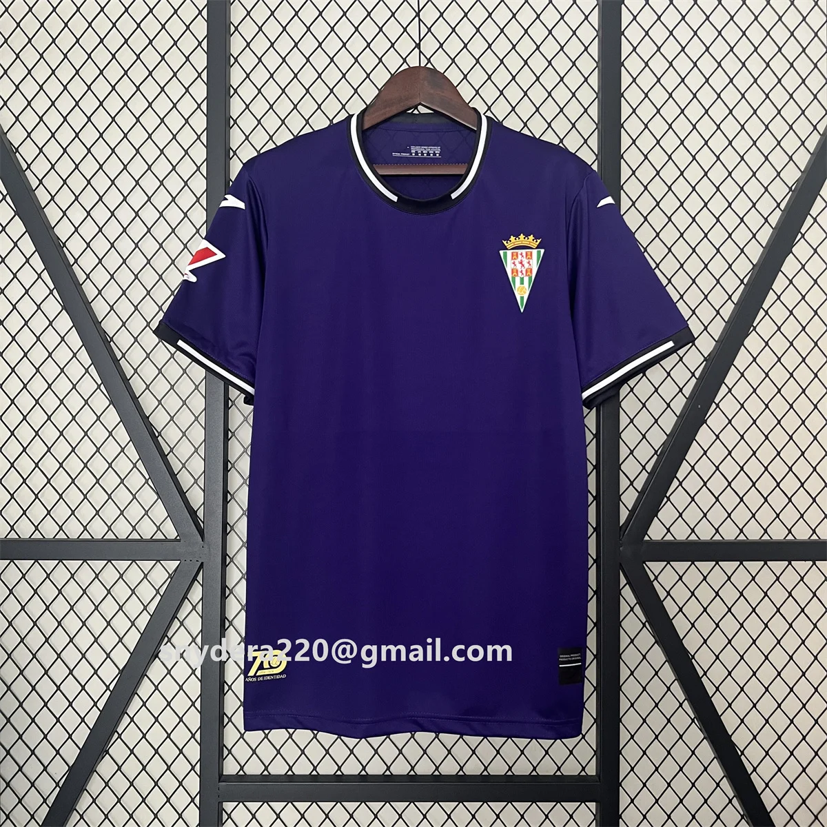 2024/25 Men's Cordoba Away Purple Quick Drying Clothing Training CF Futbol Shirts