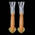 2pcs YY180 01