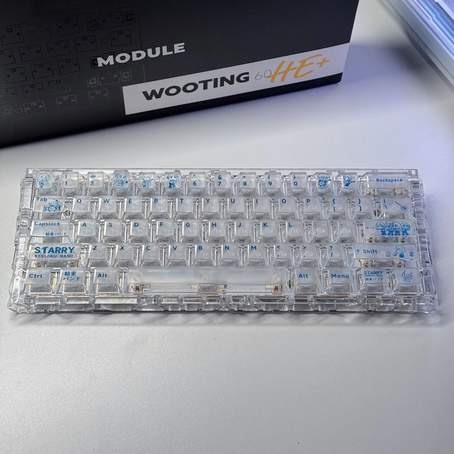 Custom Brand New Sealed Indigo Cold Maiden Frosted Translucent Cherry Profile PC Keycap High Aesthetic Custom Gift