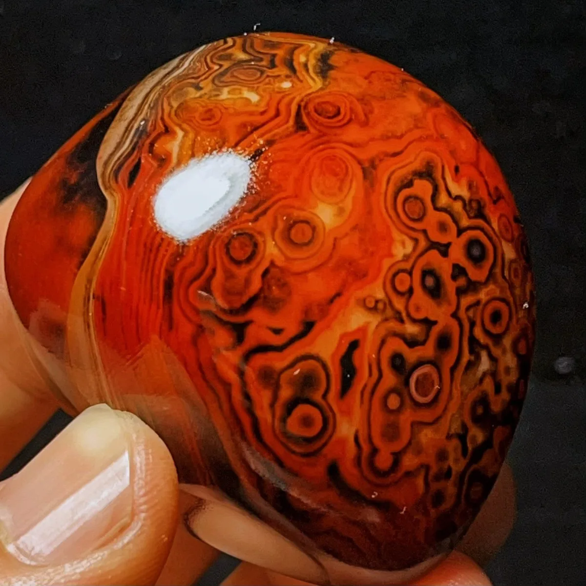 4PC Multi Color Banded Agate Palm Stone, Polished Tumbled, Display Stone, Shelf Display, Natural Stone, Crystal Collection