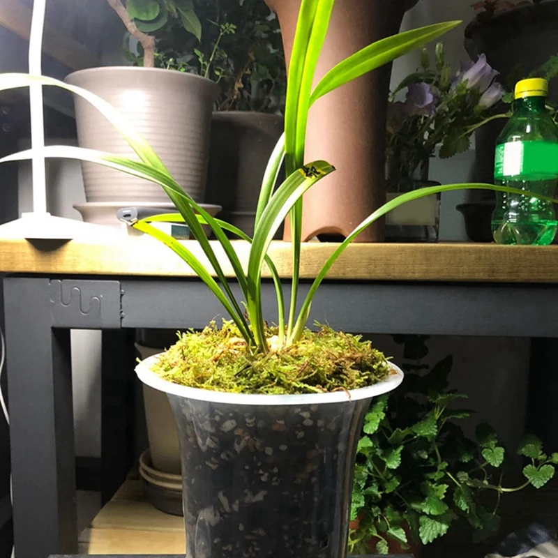 Pot bunga bening 5 inci 24 buah, Pot anggrek plastik dengan lubang Pot tanaman tinggi untuk dekorasi rumah, toko bunga