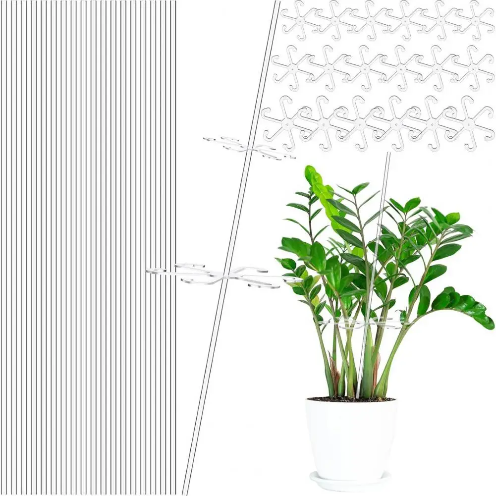 

40cm Plant Support Stakes Set 16 Inches Garden Single Stem With Clips Clear Plant Holder For Orchid Tomatoes Flowers Young Trees