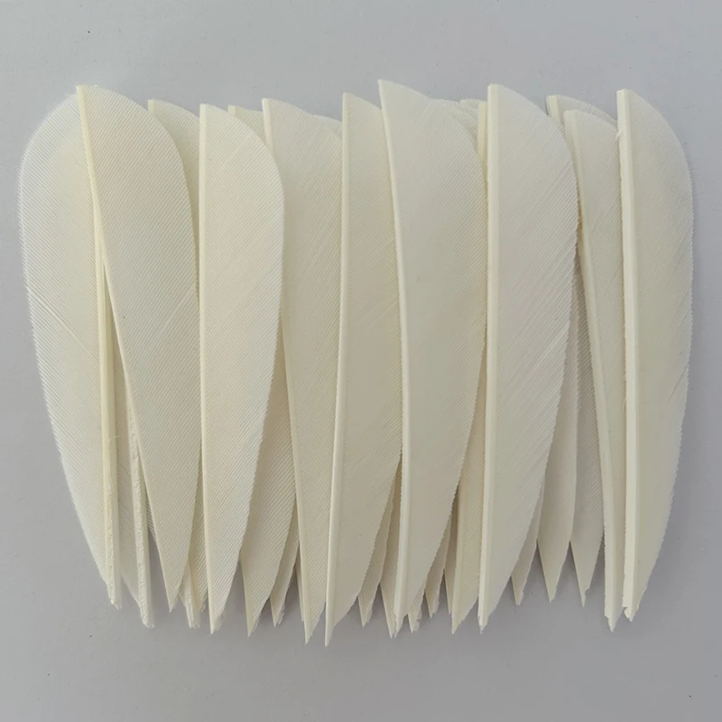 50Pcs 3 Inch Turkey Feathers Archery Arrow Fletches Vanes Right Wing for Hunting Archery Accessories Parabolic Shape