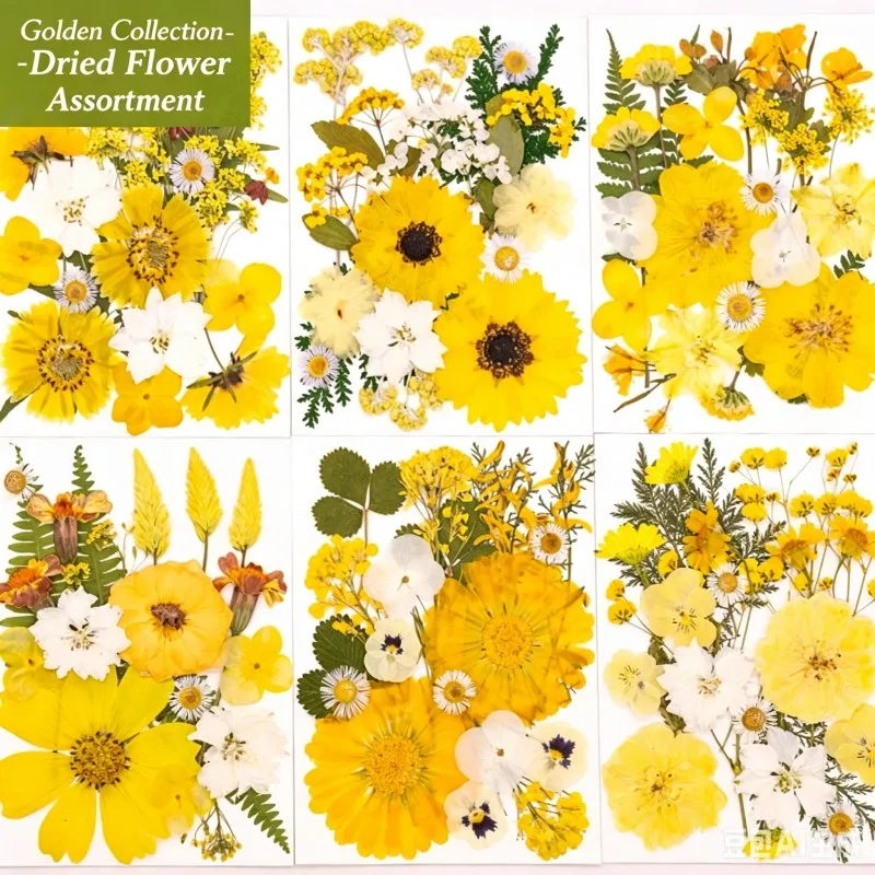 6 Types of 21-Piece New Yellow Mixed Dried Flower Packs for DIY Pressed Flowers and Leaves, Real Natural Dried Flowers with Tweezers for DIY Crafts, Resin Jewelry, Cards
