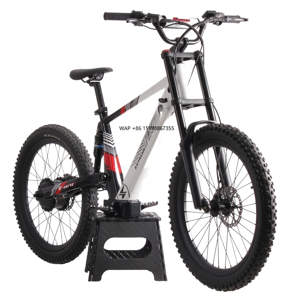 

Hot Sell 48V 1500W Electric Balance Bike Kids 24 Inch No Pedal Electric Bicycle