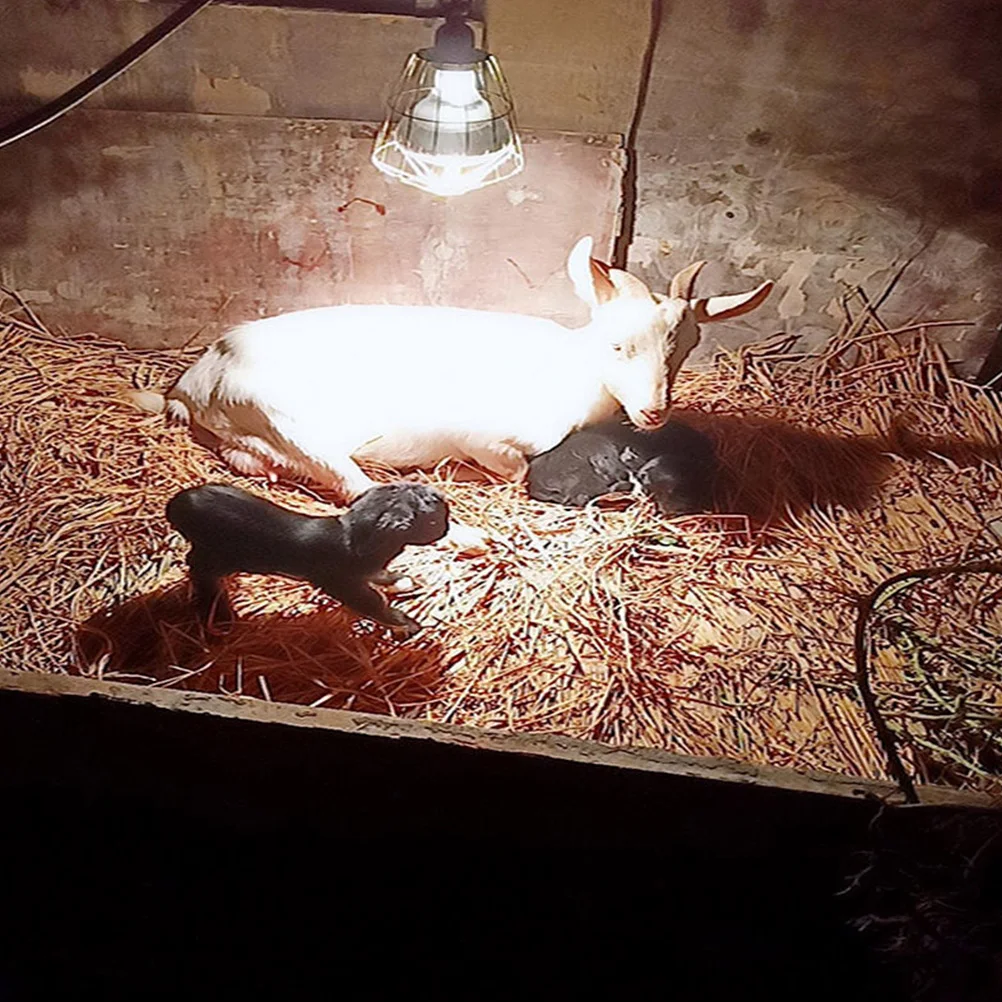 

3pcs Iron Heating Lampshade for Livestock High Temperature Resistant Bulb Cover Practical Chickens Sheep Geese Ducks