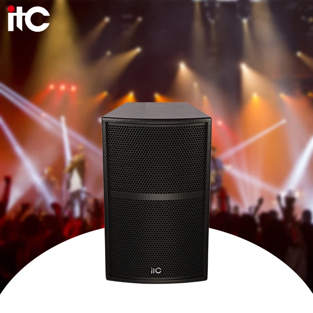 ZJZ 13 Inch 250W 8Ω Conference Audio Speakers Professional Sounds Set Speakers Professional
