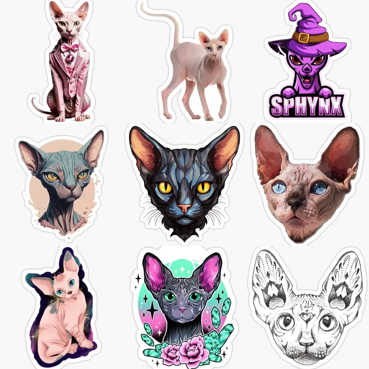 

Canadian Hairless Cat Sphynx Cat Pets PVC Stickers for Decorate Car Van Motorcycle Helmet Table Fridge Wall Window Decal