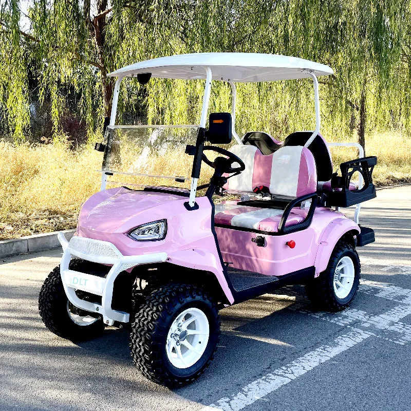 2+2-Seater Low-Speed Electric Golf Cart 5Kw AC Motor Cost-Effective Fashion Hunting Car Electric Sightseeing Bus Shuttle