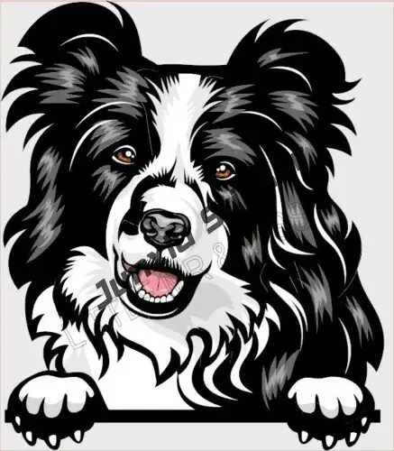 Funny Border Collie Sticker Cartoon Small Cute Pet Dog Sticking Flowers Bumper Decals for car Laptop Trunk Bumper Accessories