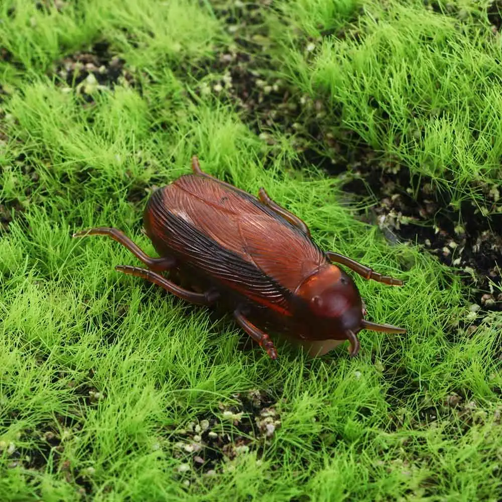 

Interactive Electronic Funny Cockroach Training Play Battery