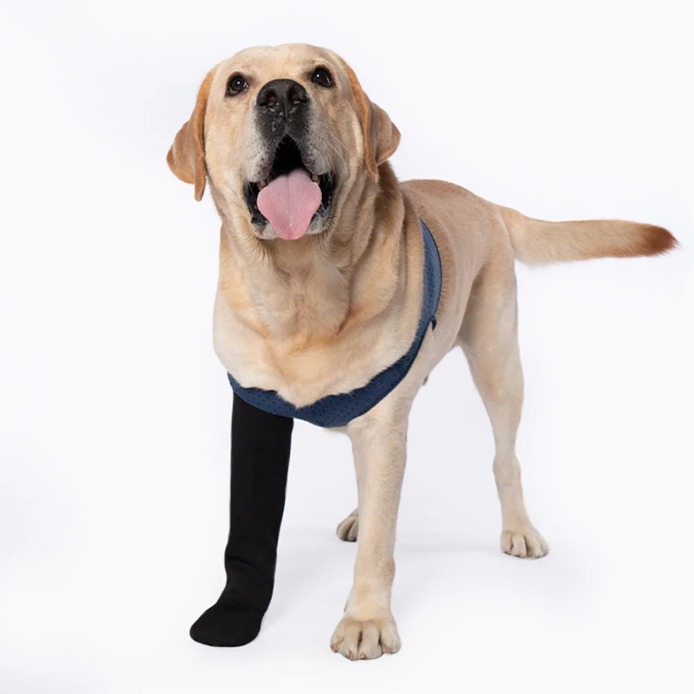 

COODEO Dog Socks to Prevent Licking Paws Healing Boots Paw Protectors with Non-Slip Bottom for Wound Protection For Right Foot