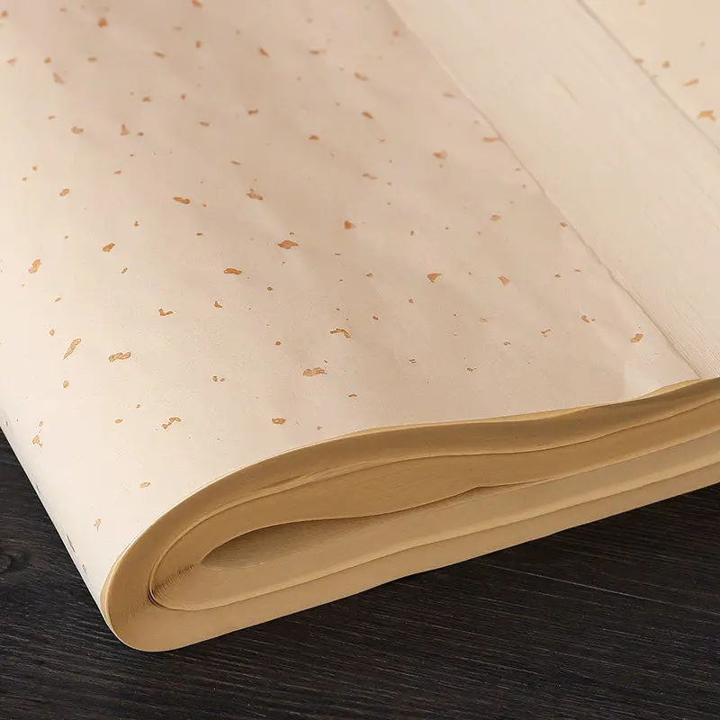 HVV 100 Sheets Thick Xuan Paper for Calligraphy 100 Sheets Half Raw Half Ripe Antique Gold Flecks Brush Writing Practice