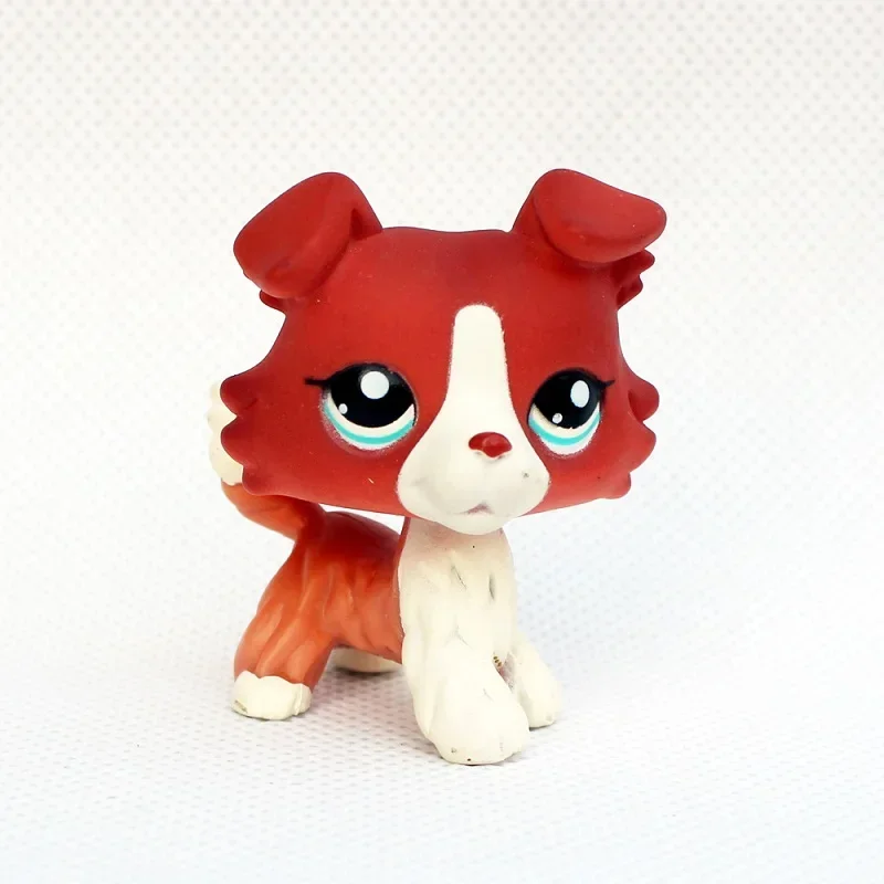 Raro littlest pet shop brinquedo stands cabelo curto gatinho cão dachshund collie spaniel great dane original bobble cabeça brinquedo lps