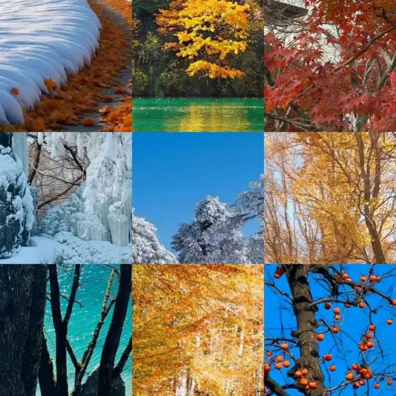 

Чехол для переноски портативной электростанции Anker C300/C300 DC, защитный водонепроницаемый кейс с плечевым ремнем и ручкой