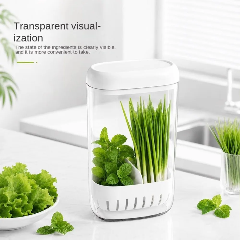 Clear Cilantro Hydroponic Box Preservation Upright Produce Saver Container With Lid With Drainage Herb Lettuce Keeper