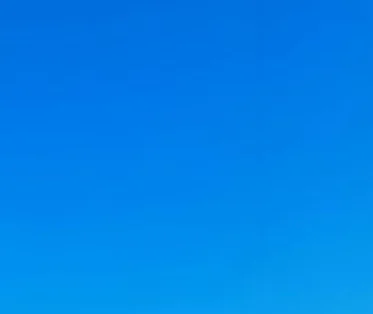 

Out of stock Out of stock