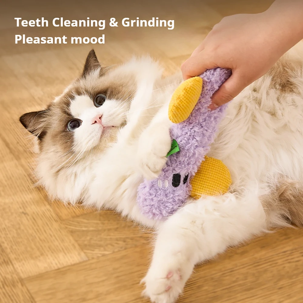 ألعاب قطط وكلاب تفاعلية، ميكرو - مراجعة Catnip Toys وسعره