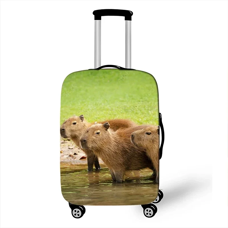 Funny Capybara Print Luggage Cover for Travel Kawaii Cartoon Elastic Trolley Case Cover Anti-dust Suitcase Protective Covers