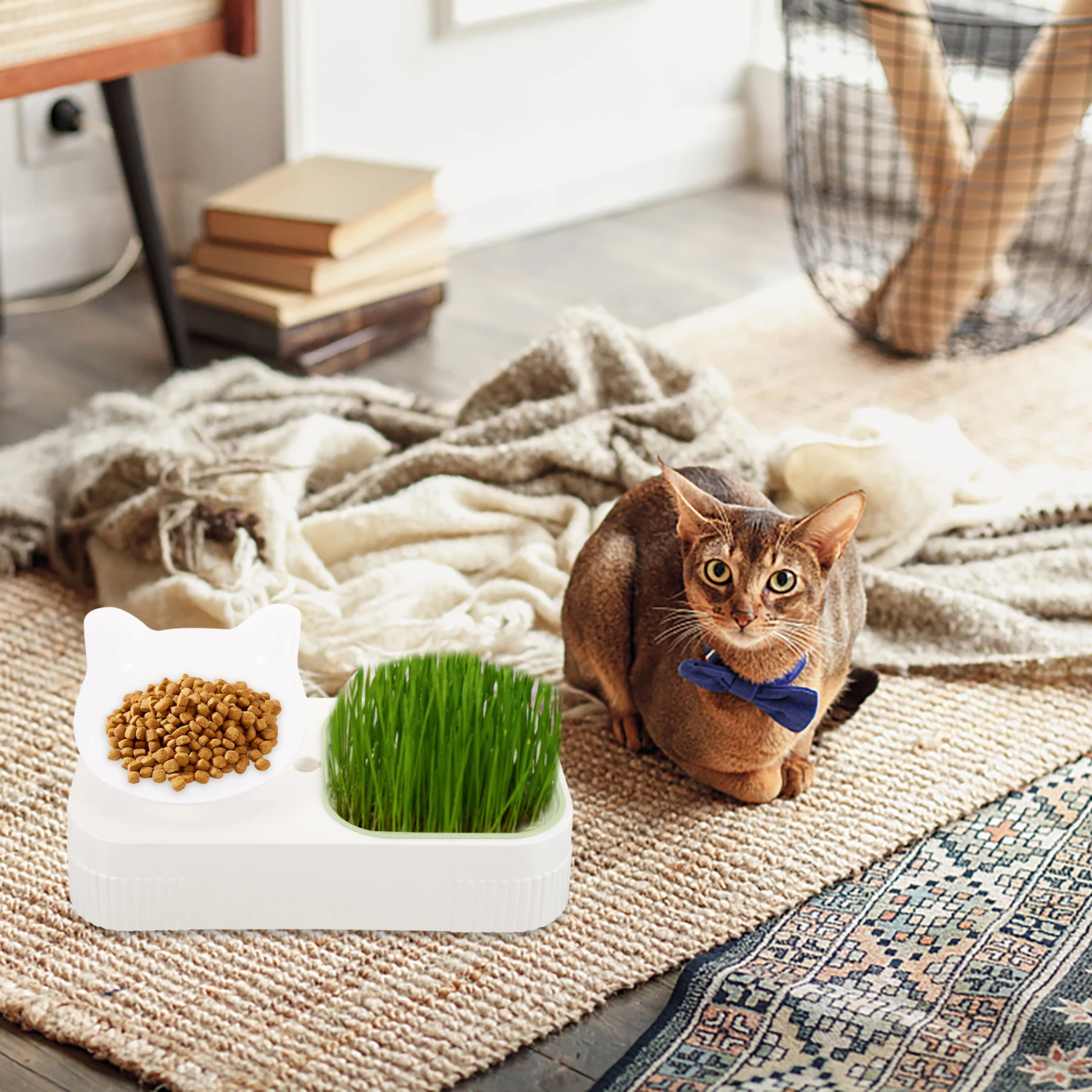 

Creative Grass Planter Plastic Protective Food Feeding Hydroponic Catnip Planting Box Soilless Cat Grass Box Pet Drinking Bowl