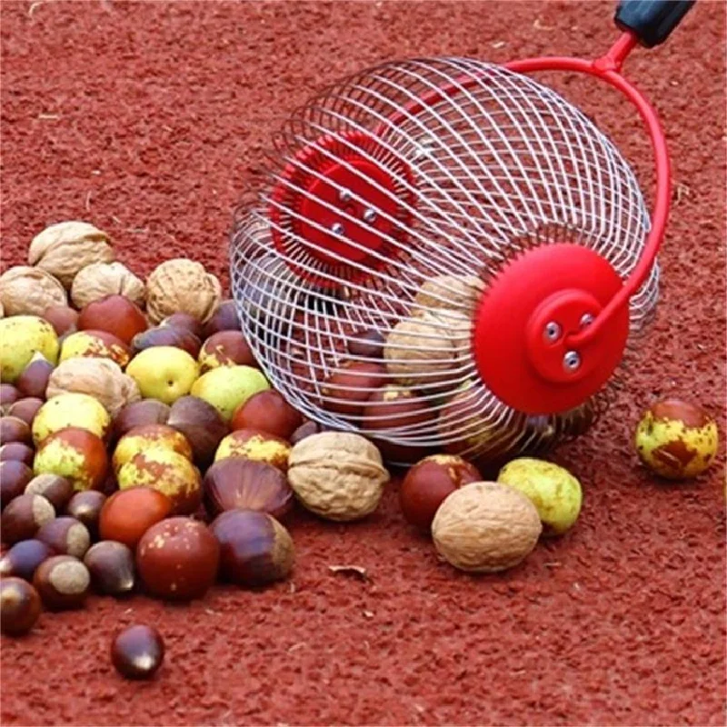 outil-de-cueillette-rapide-pour-fruits-collecteur-de-boules-outil-de-verger-dispositif-de-cueillette-et-de-collecte-de-noix-et-de-chataignes