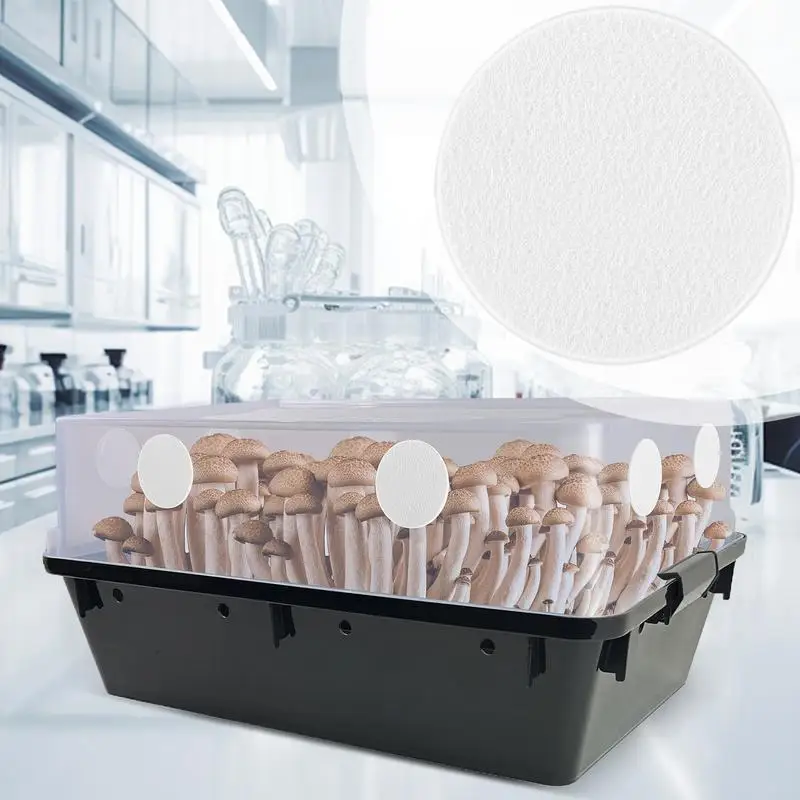 Dischi filtranti adesivi Monotub Sostituzioni del filtro per la coltivazione dei funghi Forniture versatili ed efficienti per la coltivazione dei funghi