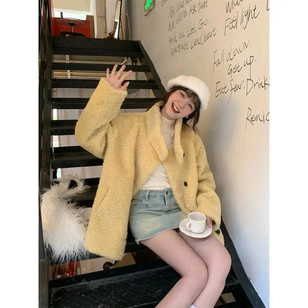 Cappotto invernale in pelliccia artificiale da donna in stile Instagram Colletto peloso Cappotto monopetto in pelliccia di visone femminile Cappotto minimalista in pelliccia ecologica da donna