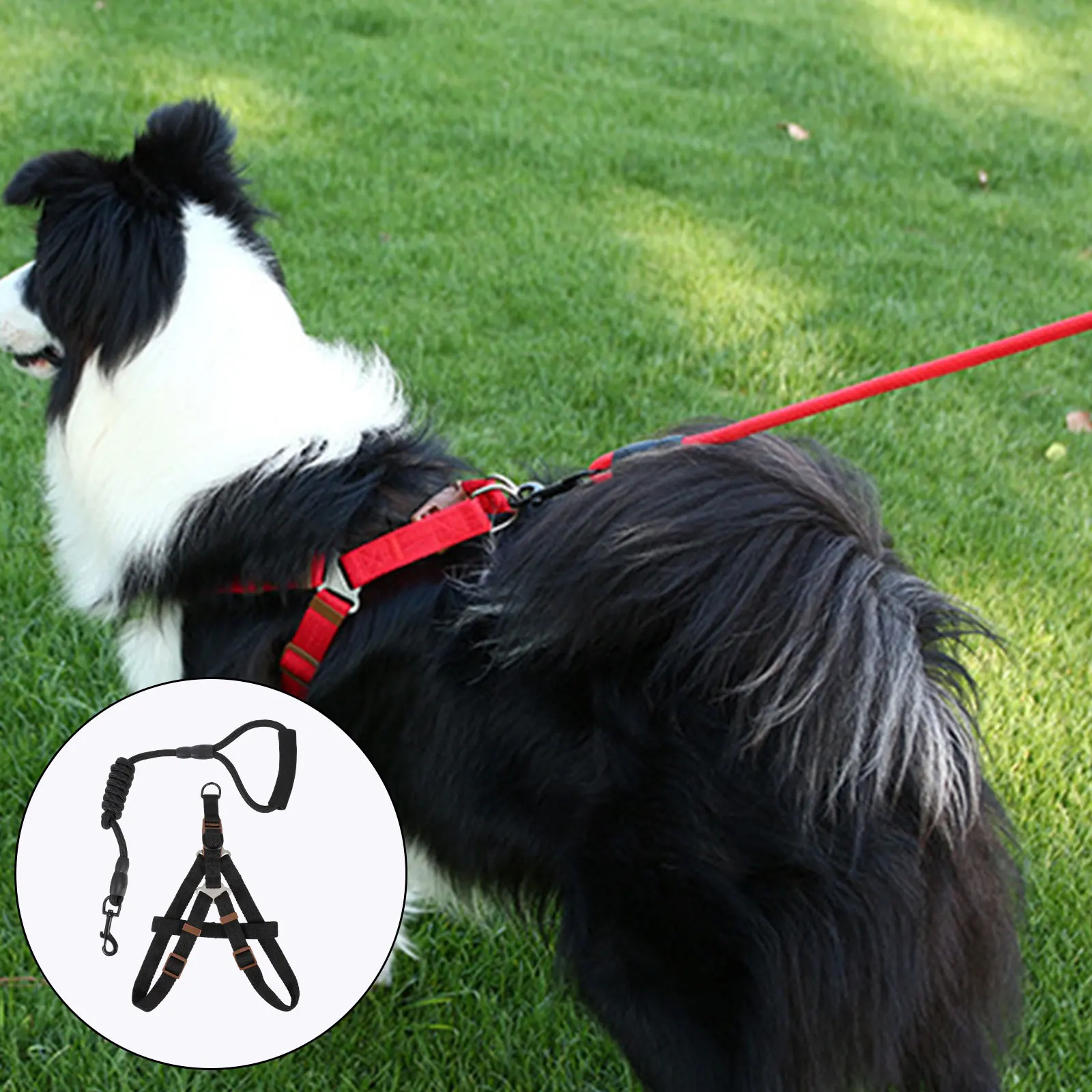 

Pet Leash Kit for Small Dogs Walking Chest Vest Nylon Puppy Dog Harness Kit Leash Buckle Long Training Puppy Suite