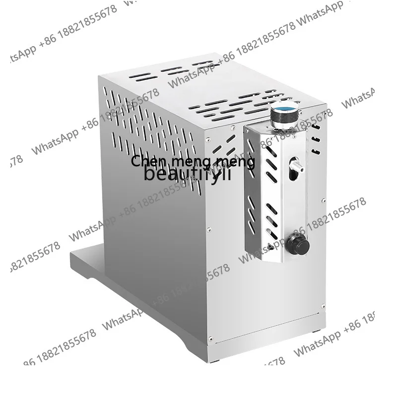 

Hot sales Outdoor pizza grill Household portable gas grill LPG grill Indoor oven pizza