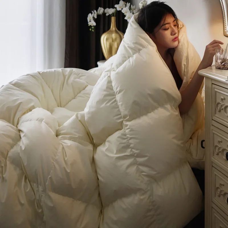 Double-Person High-Star Hotel Duvet Air-Conditioned Quilt Thickened Warm Blanket for Winter Spring And Autumn Comforter Velvet