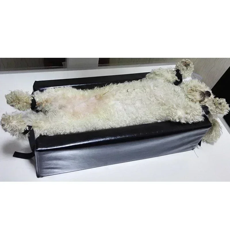 Small Animal Xray Machine Tools Veterinary Hospital Pet Use Radiographic Positioning Aid X-ray Positioner X-ray Mat
