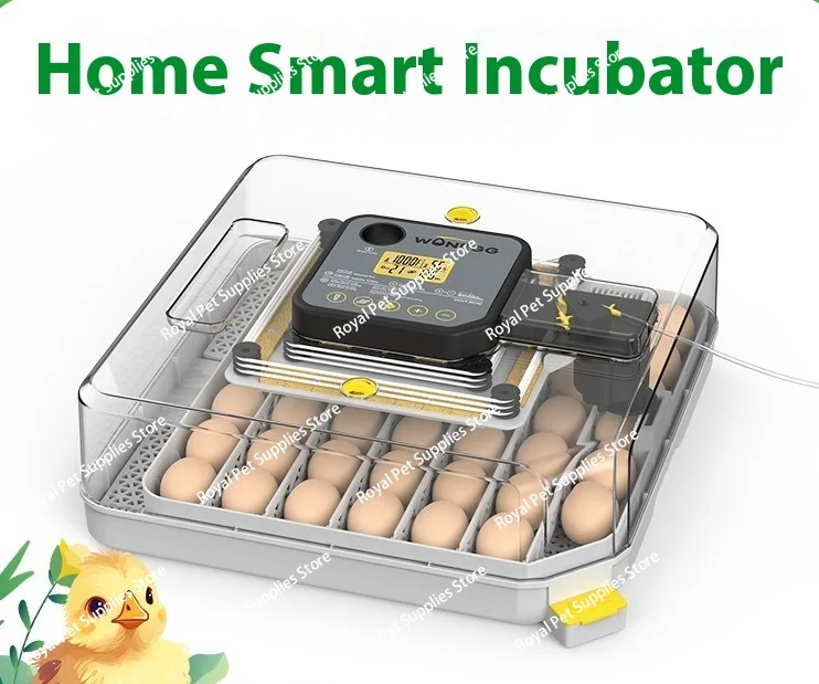 

Automatic Poultry Egg Incubator with Smart Humidity Control 48 Eggs Capacity for Chicken Duck Birds Hatching Machine
