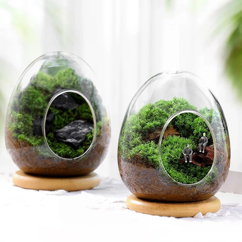 Creative Egg-shaped Glass Bottles Succulent Glass Vase Hydroponic Fleshy Micro Landscape Glass Terrarium Moss Home Decoration