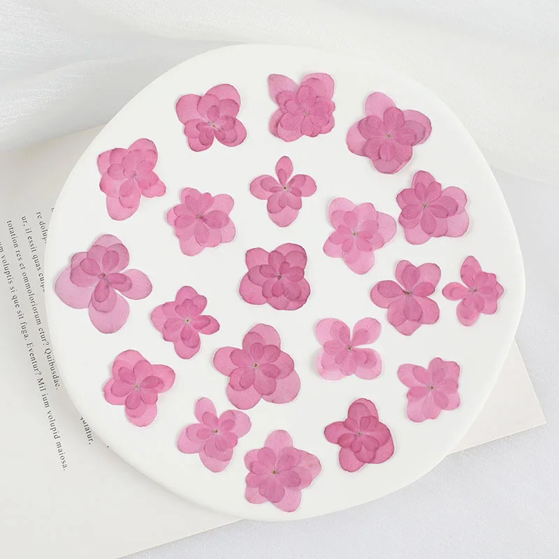 25pcs/2-3cm Pressed Delphinium Petals Real Flower Petals DIY Cell Phone Case Nail Aromatherapy Photo Frame Material Face Makeup