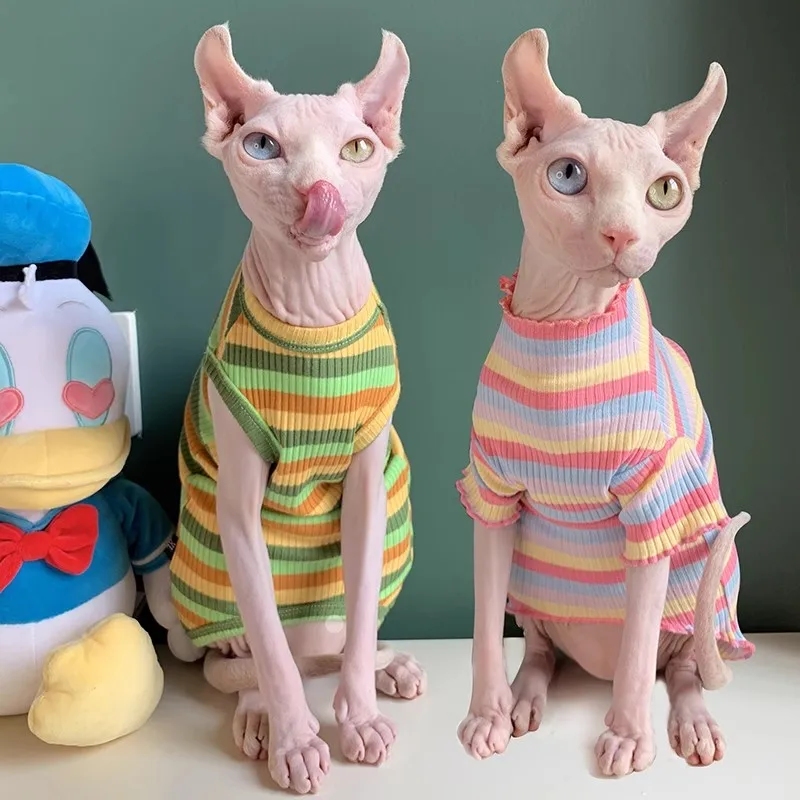 Sphynx hairless Sphinx cat Pet clothes Ruffle collar striped T-shirt cats coat vest