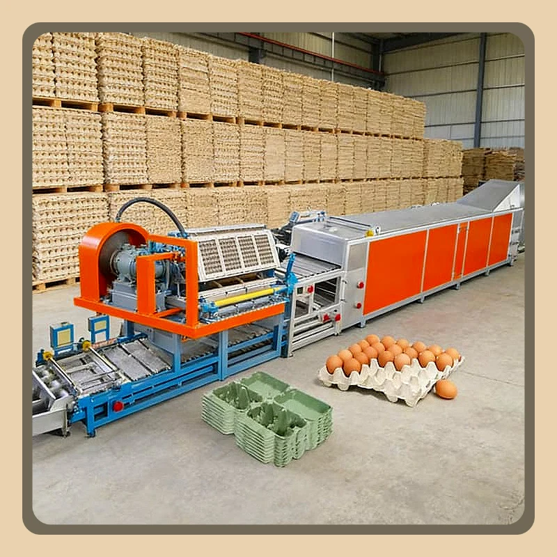 Egg Tray Production Line Pulp Molding Waste Paper Recycling System Forming Machine Egg Packaging Farm Industrial Use Customized